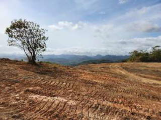 Land for Sale in La Venta - 0 bedrooms