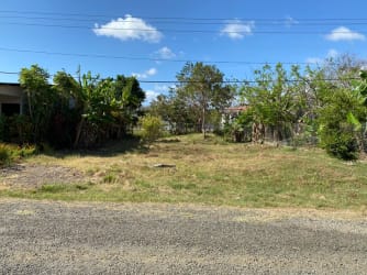 Open grassy plot with trees in central Las Tablas Panama ideal for construction