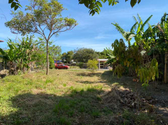 Road access and flat terrain on this land for sale in Las Tablas Los Santos Panama