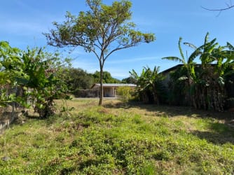 Residential lot with mature banana plants on flat terrain for sale in Las Tablas Los Santos