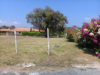 Residential Lot for Sale in Chame - 0 bedrooms