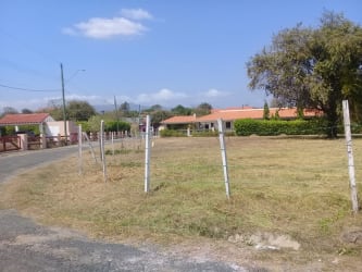 Vacant corner plot 1240m2 with fence posts next to paved street in Coronado Panama