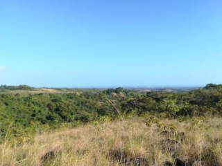 Land for Sale in Copecito - 0 bedrooms