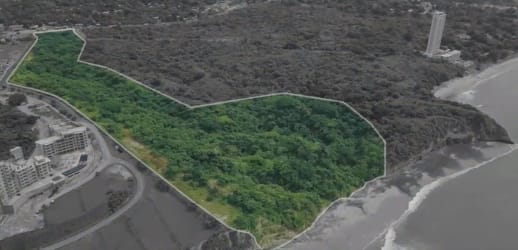 Forested beachfront large plot at El Palmar in Panama prime for investment