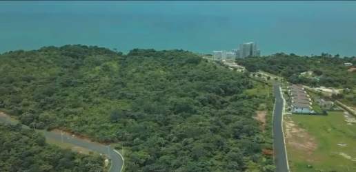 Undeveloped beachfront land with trees at El Palmar prime for project Panama