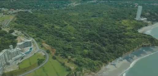 Oceanfront land with beachfront and forest canopy ideal project site San Carlos Panama