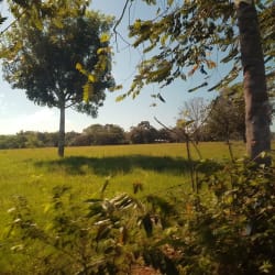 Large flat land parcel in countryside area of David ideal for housing project or commercial plaza