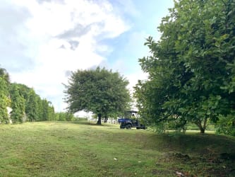Access road with tropical foliage to large lot Punta Barco Resort Panama