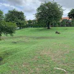 Land for Sale in Las Uvas - 0 bedrooms