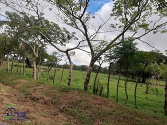 Green pasture with fencing in rural Panama ideal for building or farming near Dolega