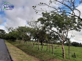 Land for Sale in Dolega - 0 bedrooms