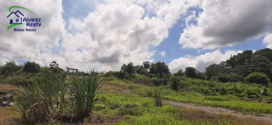Flat cleared land with highway frontage ideal for industrial or commercial use Chiriquí