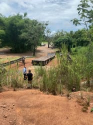 Undeveloped land parcel with trees and partial clearing ideal for commercial or residential project