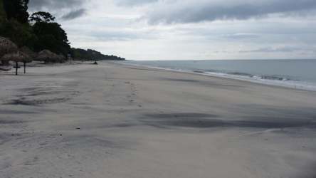 Open kitchen in Bijao apartment with granite countertop, appliances and dining