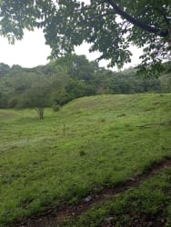 River flowing through fertile farmland surrounded by greenery in Las Uvas San Carlos Panama
