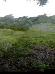 Land for Sale in Las Uvas - 0 bedrooms