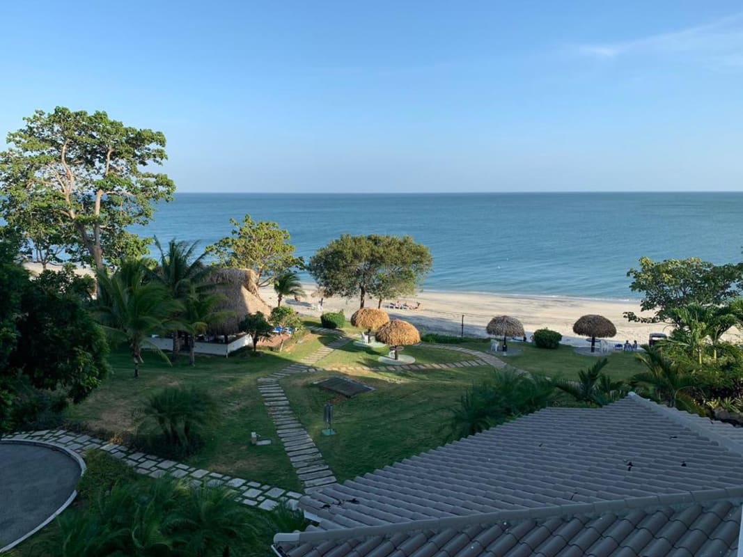 Tropical gardens with palms thatched umbrellas sandy beach and Pacific ocean at Bijao Beachfront Panama
