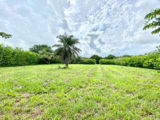 Land for Sale in Pedasí - 0 bedrooms