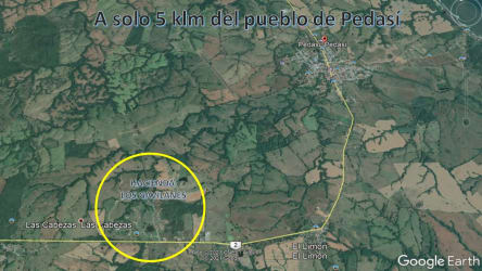 Large open lot with green grass for sale at Hacienda Los Gavilanes Pedasi Panama