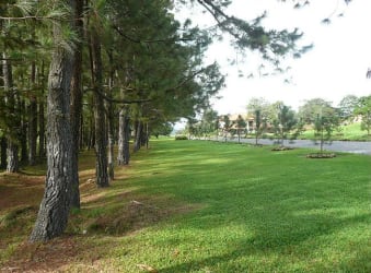 Large green land parcel with trees for sale at Boquete Country Club