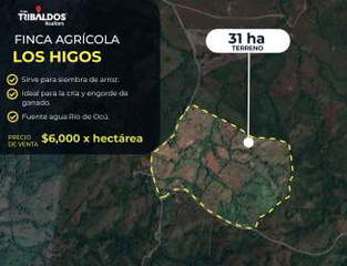 Agricultural / Ranch / Land for Sale in Las Minas - 0 bedrooms