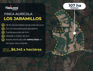 Aerial labeled farmland parcels showing Los Jaramillos central Panama