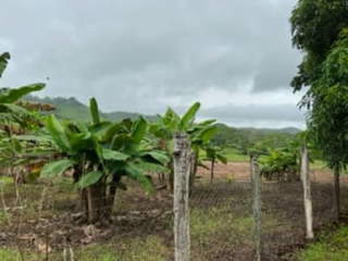 Land for Sale in Chepo - 0 bedrooms