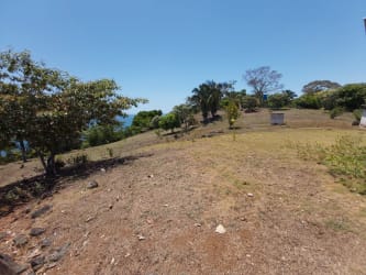 Dense tropical greenery rolling down coastal hillside in Pacific Chiriquí region