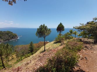 Dramatic oceanfront hillside with lush greenery, coastline and sea vistas in Chiriquí Panama