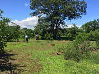 Land for Sale in Quebrada de Piedra - 2 bedrooms