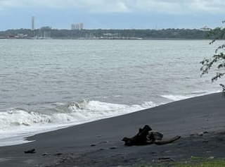 Property for rent in Panama City - 0 bedrooms