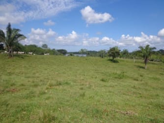 165 Hectares Lakefront Development Land La Arenosa