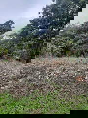 Land / Lot for Sale in Costa Esmeralda - 0 bedrooms