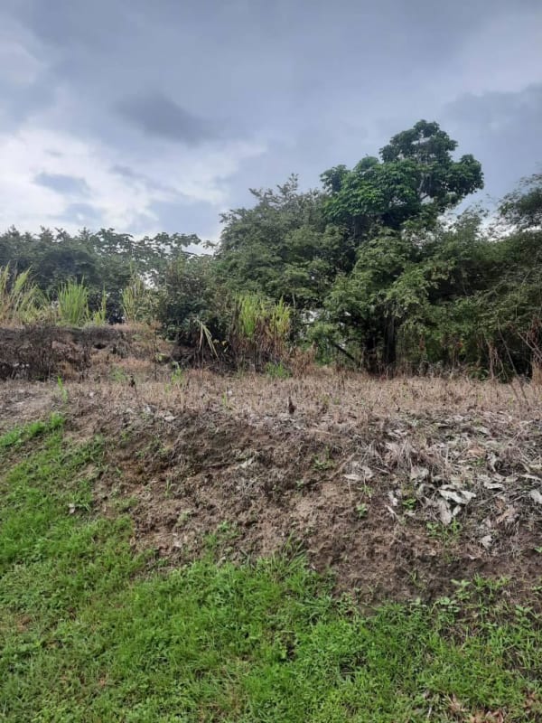 Buildable 800 m² lot near Pacific Ocean in exclusive Costa Esmeralda gated community Panama