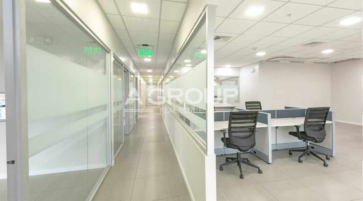 Large open-plan office with modular cubicles in Tower Financial Center Panama