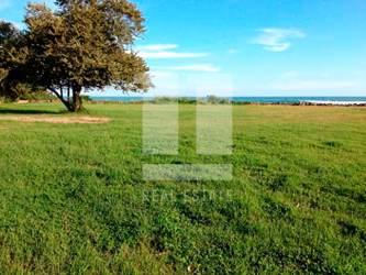 Expansive grassy beachfront land with panoramic ocean blue views Punta Barco