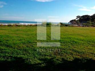 Open grassy lot ready to build beachfront property Punta Barco Panama