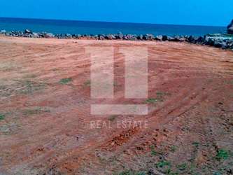 Cleared oceanfront land plot with natural vegetation in Punta Barco Panama
