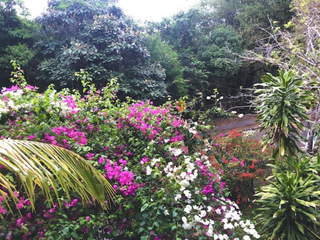 House for Sale in Ancon - 3 bedrooms