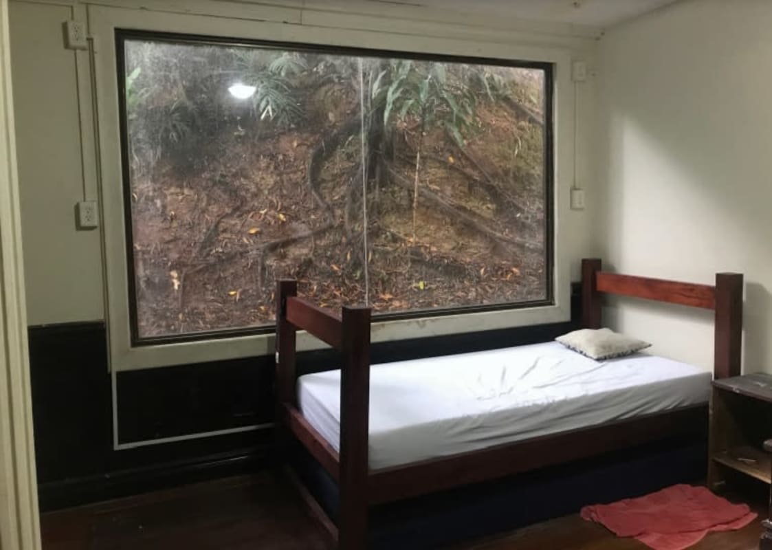 Private backyard with tropical garden and basketball hoop in Herrick Heights Ancon Panama