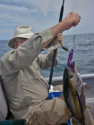 Outdoor patios and lounges surrounded by tropical greenery with ocean views in Bucaro Panama