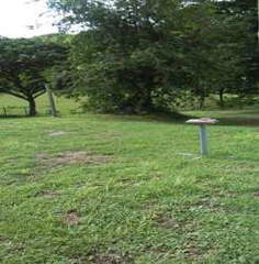 Hotel and Land for Sale in Tonosí/Bucaro - 9 bedrooms