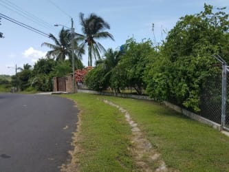 Internal road with palm trees and fencing in Costa Esmeralda Panama