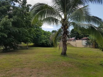 Metal gate entrance with greenery and trees Costa Esmeralda community