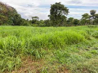 Land for Sale in Renacimiento - 2 bedrooms