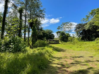 Gently sloped open pasture suitable for farm, eco-housing or tourist project La Chorrera Panama
