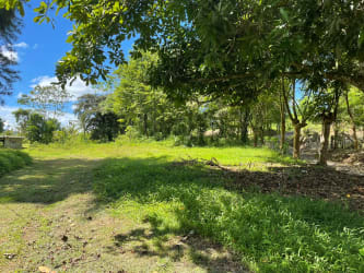 Lush greenery and river stream bordering expansive agricultural development land for sale La Chorrera
