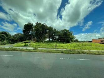 Commercial land plot with mature trees and highway location La Chorrera Panama