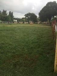 Two Bargain Beachside Lots for Sale near Playa Gorgona