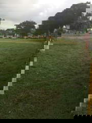 Land for Sale in Playa Gorgona - 0 bedrooms